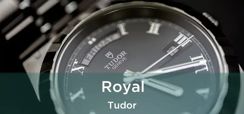  Royal Tudor